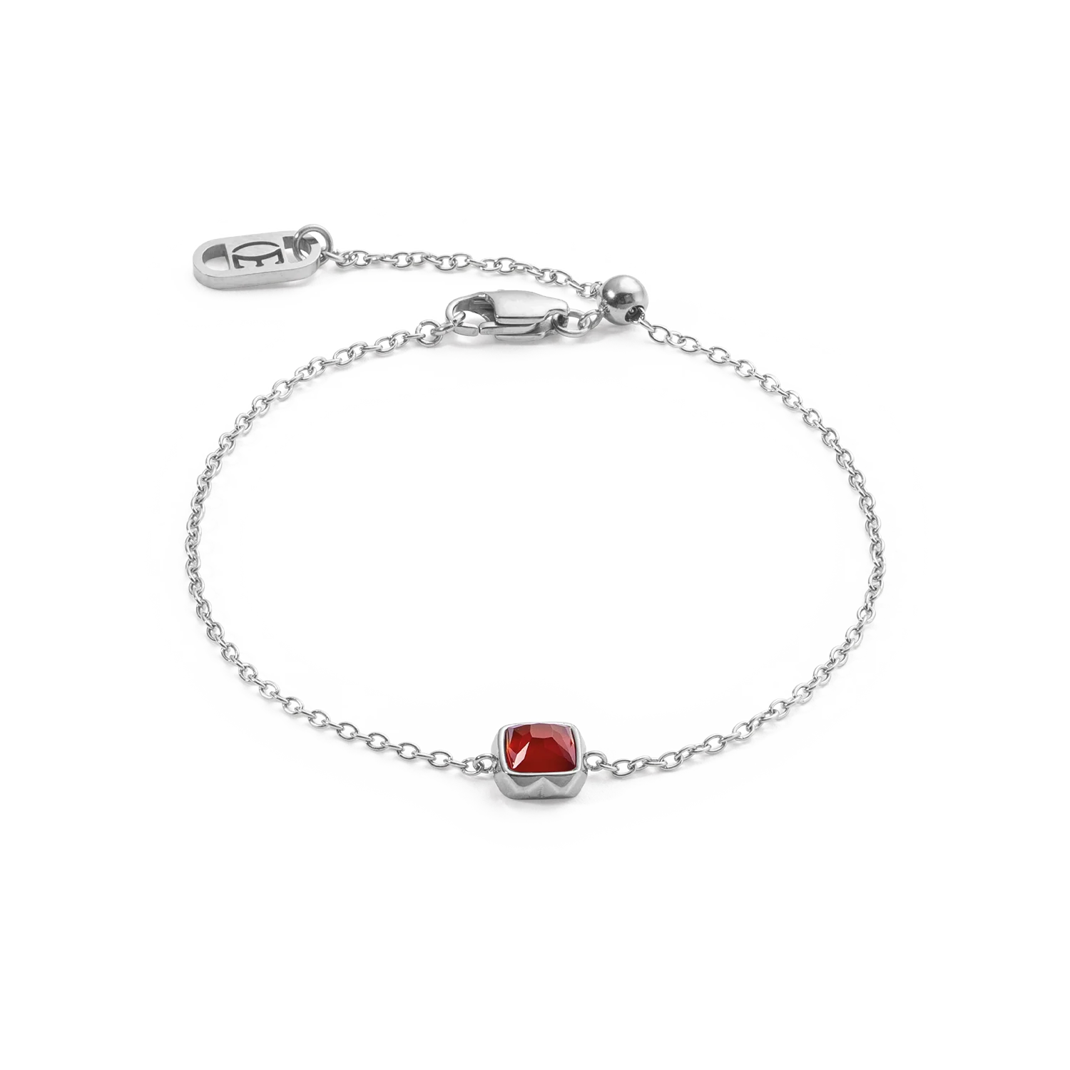 Birthstone Janvier Bracelet Agate Rouge Argent